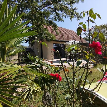 L'Albizia Gite Climatise St Maurice Saint-Maurice-en-Riviere Zewnętrze zdjęcie