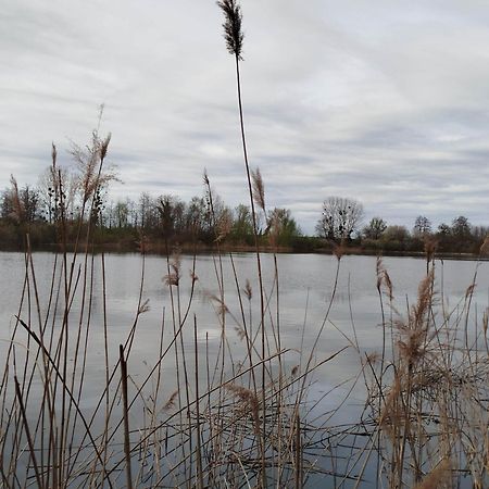 L'Albizia Gite Climatise St Maurice Saint-Maurice-en-Riviere Zewnętrze zdjęcie