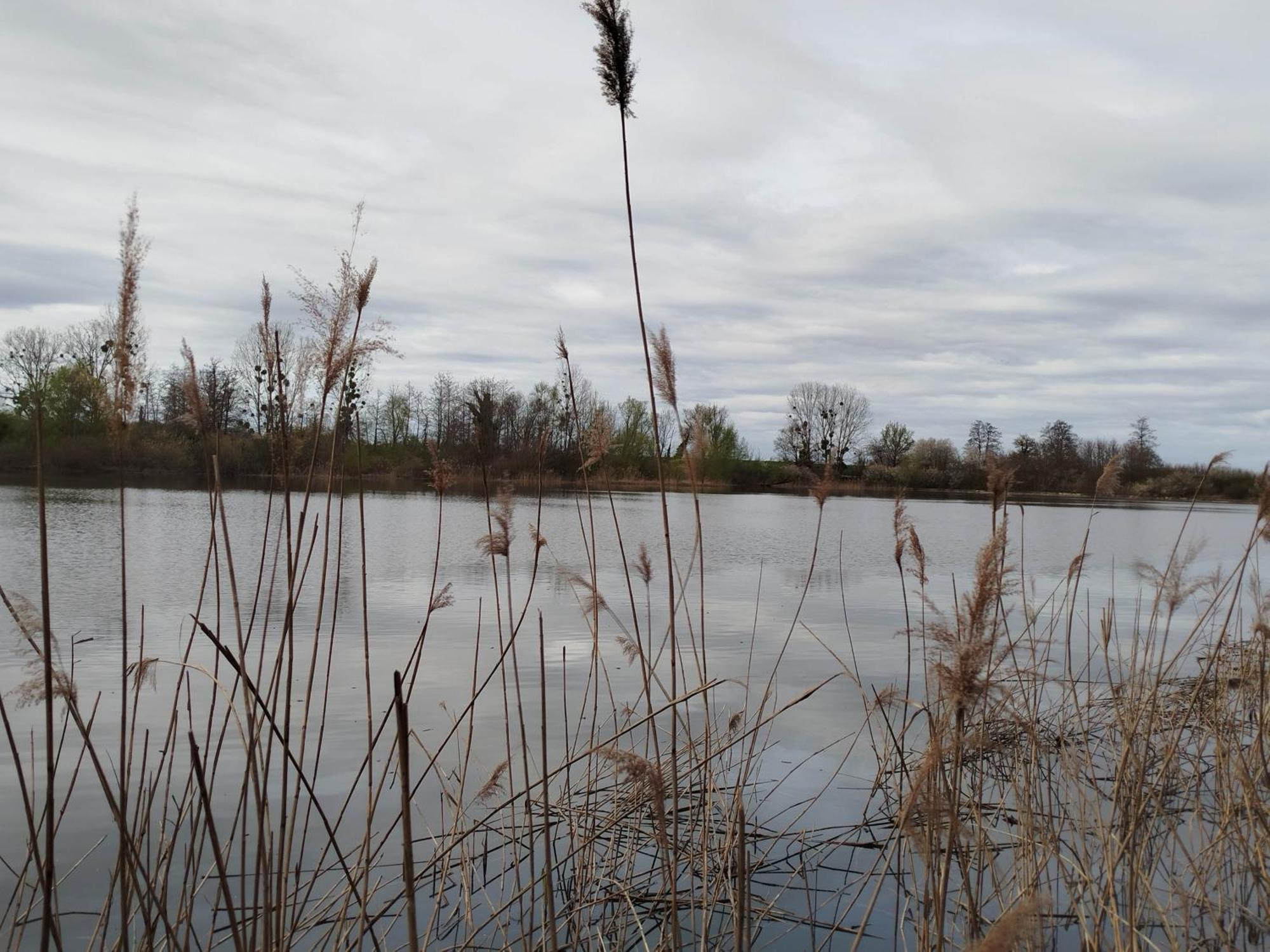 L'Albizia Gite Climatise St Maurice Saint-Maurice-en-Riviere Zewnętrze zdjęcie